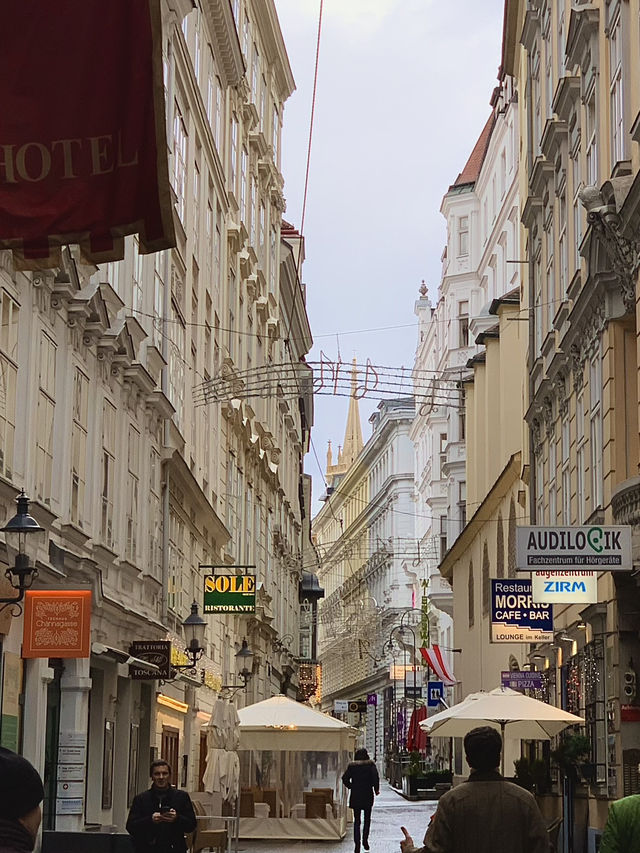 Admire the historical Architecture of Vienna ❤️🇦🇹
