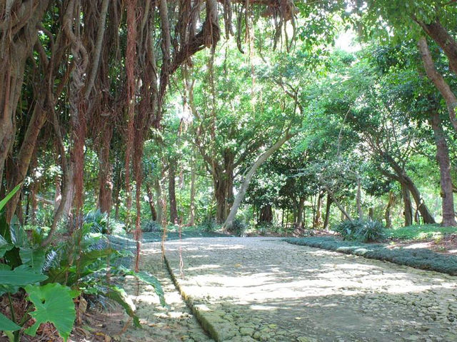 世界文化遺產系列～識名園