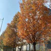 แนะนำวิธีเดินทางไปหมู่บ้าน Eunpyeou Hanok Village