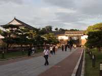 Osaka Castle: A Majestic Blend of History and Beauty