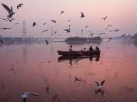 Tranquil Birdwatching Experience at Yamuna Ghat