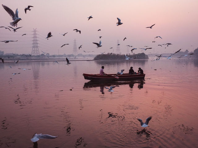 Tranquil Birdwatching Experience at Yamuna Ghat