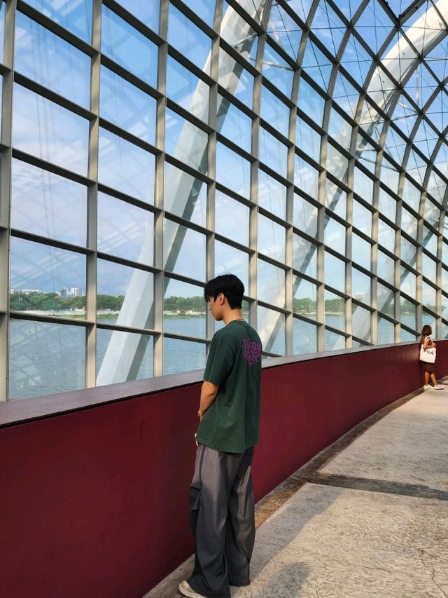 ✨Flower Dome Singapore