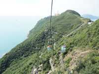 Swooping Over the Sea: Ocean Park's Best Moments