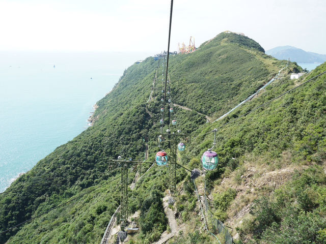 Swooping Over the Sea: Ocean Park's Best Moments