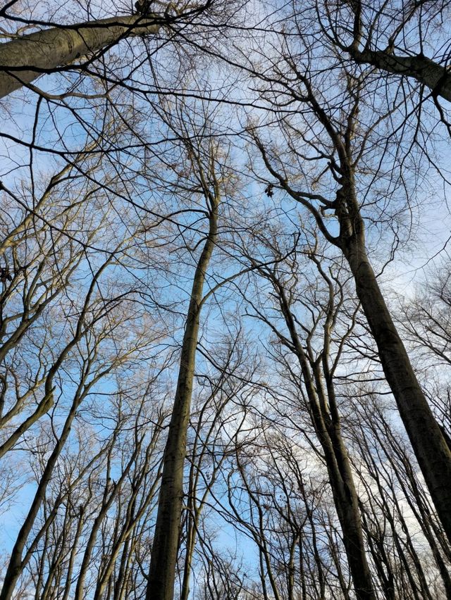 유럽여행 하이킹하기에 좋은 비엔나 Ottakringer Wald