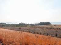 【鹿児島県】 魂の叫びがこだまする桜島の景観地 『赤水展望広場』