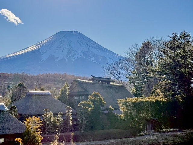 日本｜富士山與忍野八海