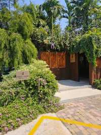 tavy's home : บางจาก