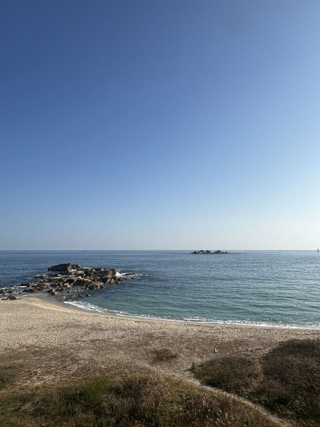 고성 바다가 한눈에 보이는 고성 맹그로브 