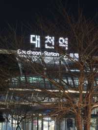 무궁화호 타고 대천역 도착했어요! 기차 여행