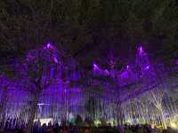 A Night Walk at Pantai Floria Putrajaya