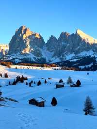 1-Day Ortisei Itinerary (Seceda + Alpe Di suisi)