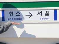 충남 보령 청소역, 한적한 감성 여행