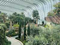 四季都可以賞花的Flower dome