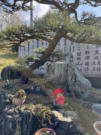 마쓰야마 근교 한적한 감성도시 우치코마을 