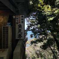 【食べ歩き】神奈川 江ノ島 魚見亭 新鮮なお刺身と名物が味わえる老舗定食屋さん