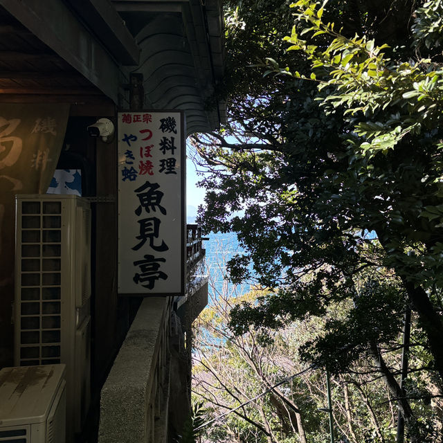 【食べ歩き】神奈川 江ノ島 魚見亭 新鮮なお刺身と名物が味わえる老舗定食屋さん