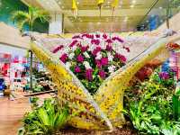 Experience the Magic: Jewel Changi Airport