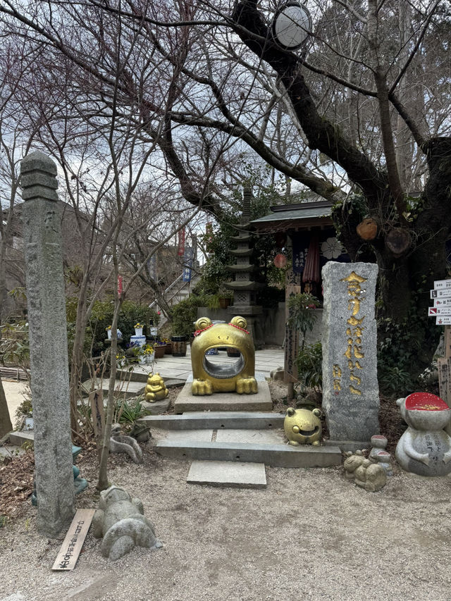 可愛すぎる！かえるの御朱印🐸