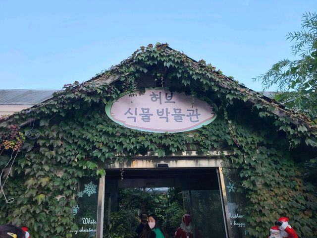 포천 허브아일랜드 향긋한 소풍