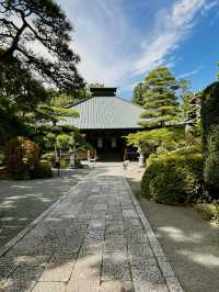 Discover Tranquility at Daisoji Temple, Shimoyoshida