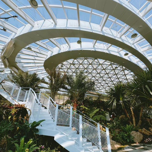 台北植物園 | 藏於綠意中的夢幻