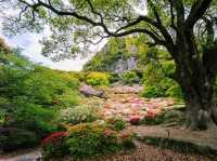 四季折々の絶景に感動✨御船山楽園で癒しのひととき