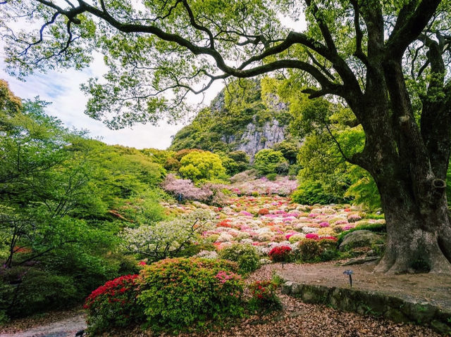 四季折々の絶景に感動✨御船山楽園で癒しのひととき