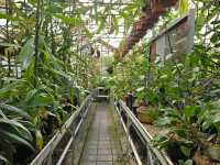 Leiden's Botanical Garden (Hortus Botanicus)