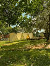 Tropical Eglamping 