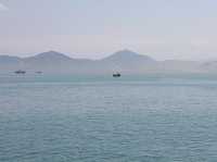 深圳灣海濱長廊：海風輕拂的浪漫之旅 🌊🌅