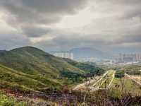 From Sheung Shui to Fanling — Wah Shan Military Path Hike
