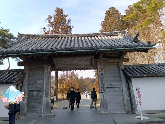 日本三景之松島遊：松島瑞巖寺