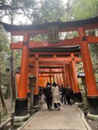 ⛩️穿越千本鳥居⛩️，探索伏見稻荷大社的神秘魅力🦊