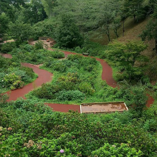 Funaoka Castle Park (船岡城址公園)