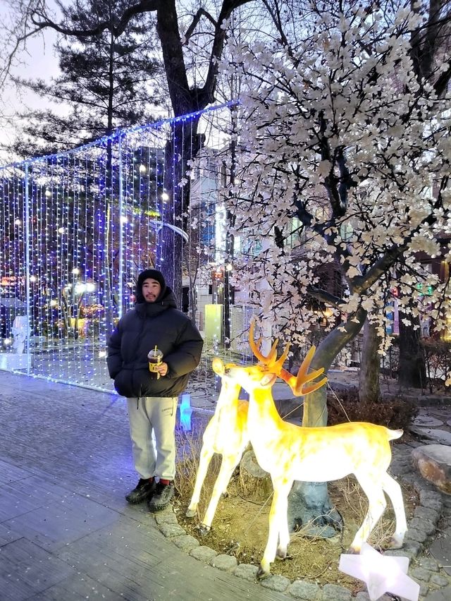 태백눈꽃축제가 열리는 태백의 중심지 황지연못