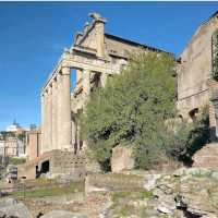 Temple of Antoninus and Faustina