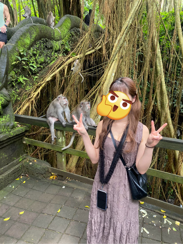 おすすめの旅行先、バリ🌺