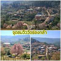 พิกัดเที่ยวบ้านร่องกล้า พิษณุโลก