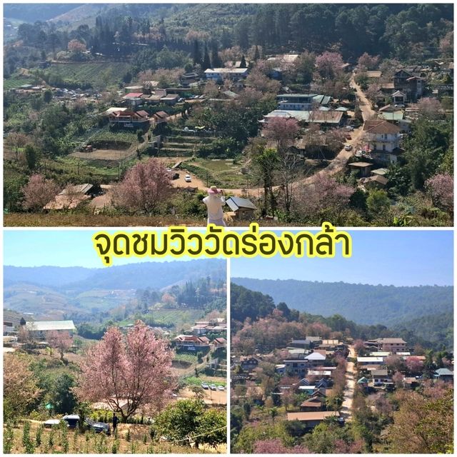 พิกัดเที่ยวบ้านร่องกล้า พิษณุโลก