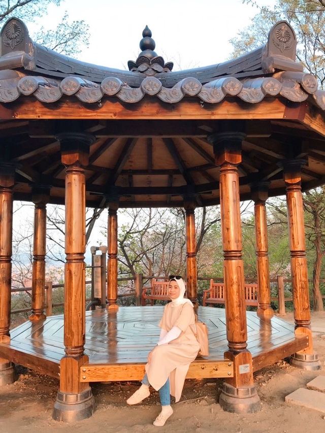 Sunset 🌅 and romantic cherry blossom view from Namsan Tower🗼