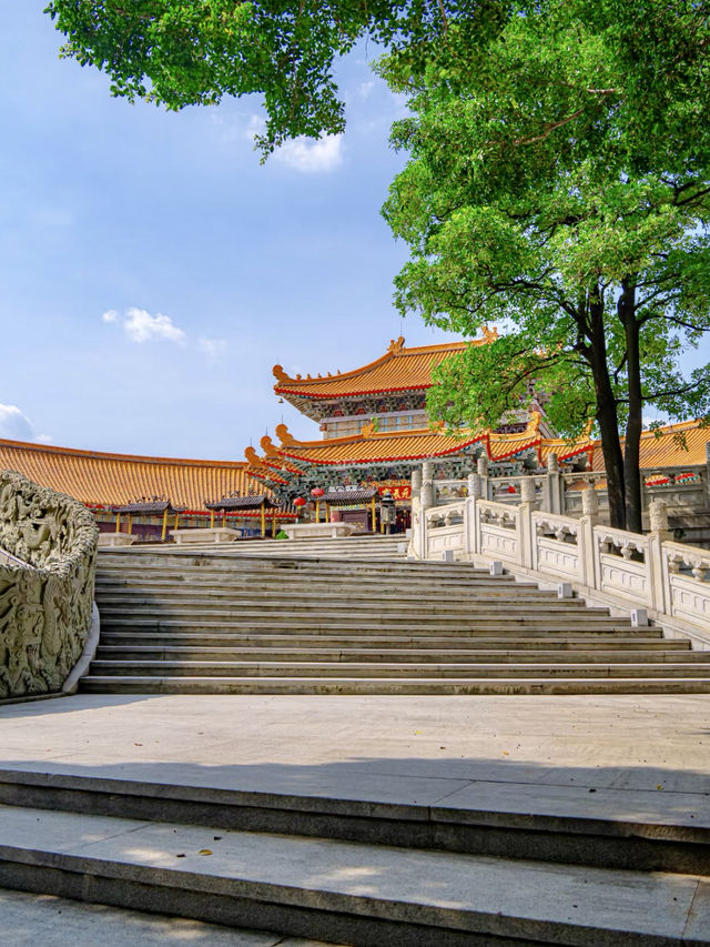 玄門靈境：漫遊圓玄道觀的靜謐時光
