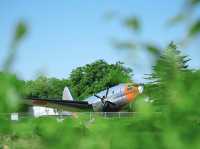 Chasing Sakura at Tokorozawa Aviation Memorial Park