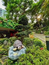 Hong Kong Zoological & Botanical Gardens: A Green Oasis in the City