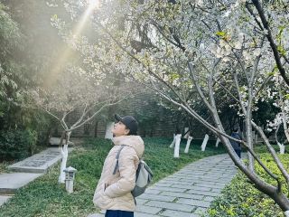 Xuanwu Lake - Dawn Awakening Moments