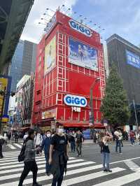 Japan: A Journey to Remember
