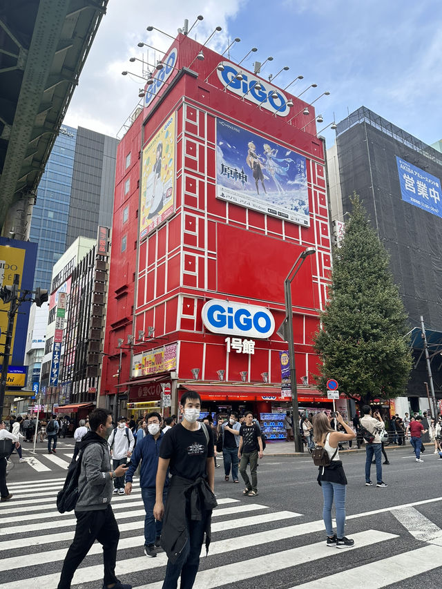 Japan: A Journey to Remember