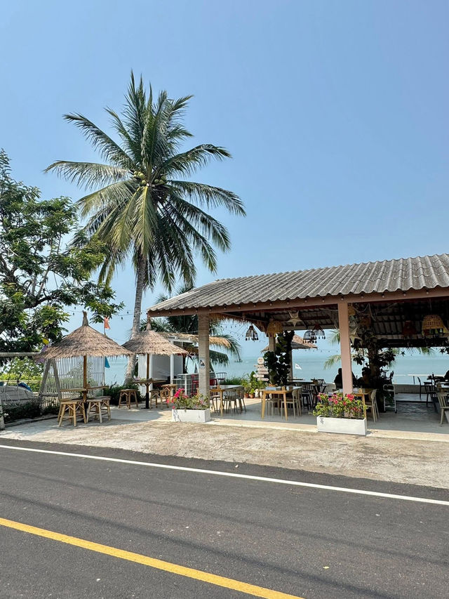 maew lay - แมวเล cafe & farm🌊☘️😸