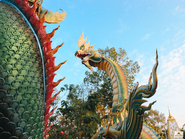 วัดพระธาตุหนองบัว